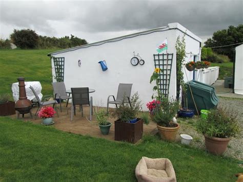 house sitters ireland